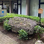 Kenhope コラム